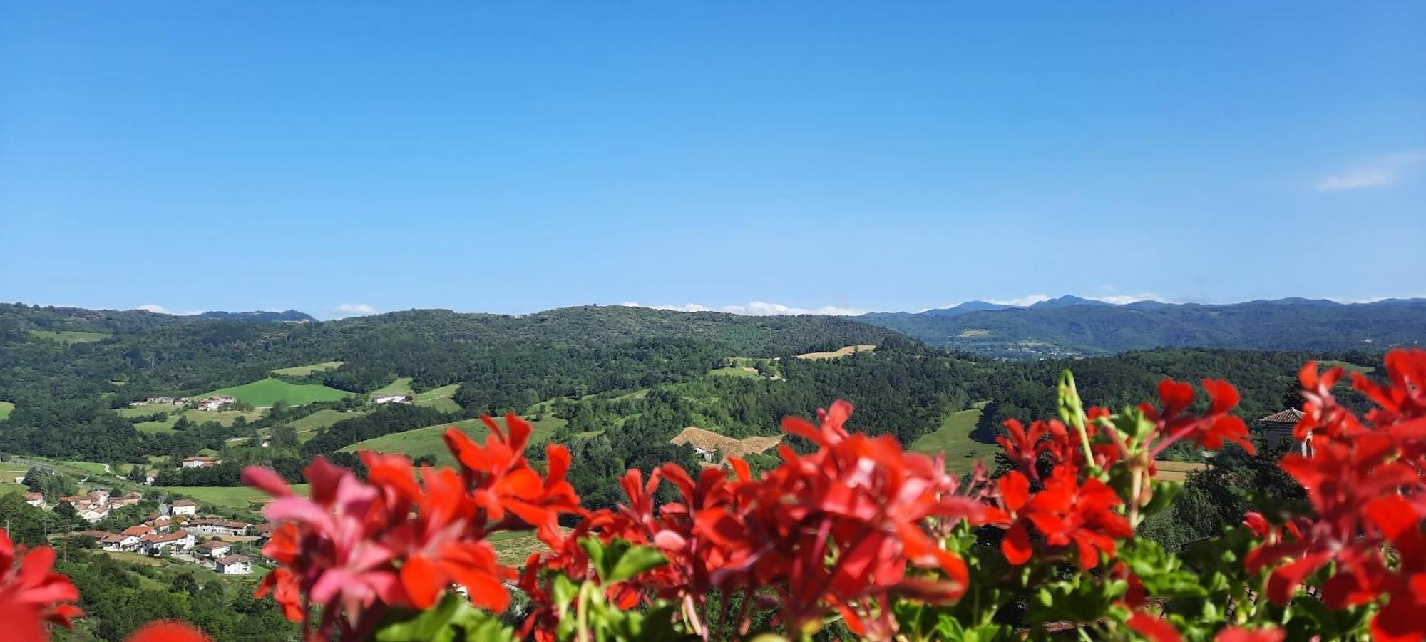 Ca Trifolera Barbaresco - Romantico Cascinale Con Antica Cantina Nel Cuore Delle Langhe - Degustazione Vini Nella Nostra Cantina Exterior foto