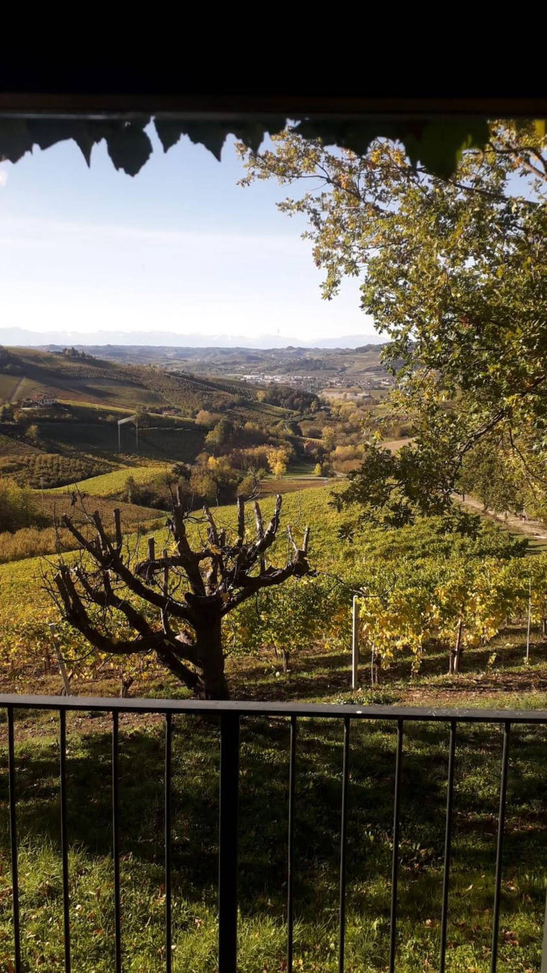 Ca Trifolera Barbaresco - Romantico Cascinale Con Antica Cantina Nel Cuore Delle Langhe - Degustazione Vini Nella Nostra Cantina Exterior foto