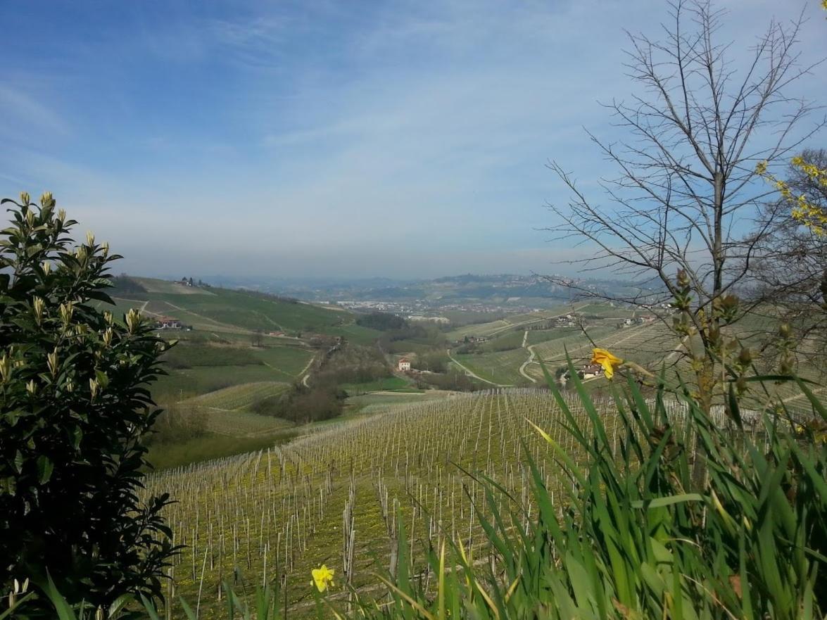 Ca Trifolera Barbaresco - Romantico Cascinale Con Antica Cantina Nel Cuore Delle Langhe - Degustazione Vini Nella Nostra Cantina Exterior foto
