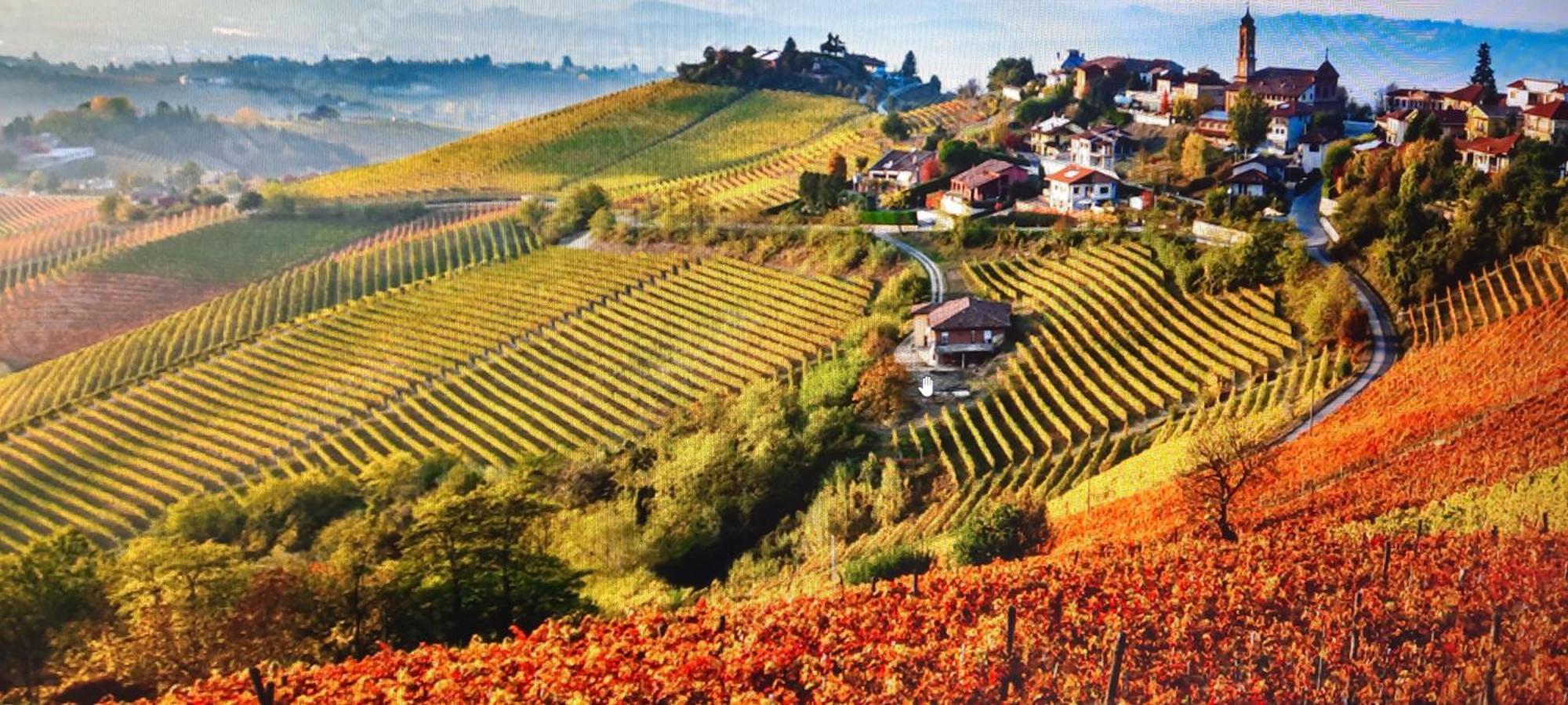 Ca Trifolera Barbaresco - Romantico Cascinale Con Antica Cantina Nel Cuore Delle Langhe - Degustazione Vini Nella Nostra Cantina Exterior foto