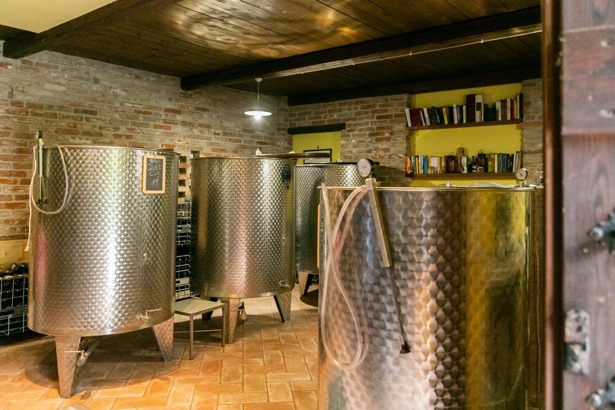 Ca Trifolera Barbaresco - Romantico Cascinale Con Antica Cantina Nel Cuore Delle Langhe - Degustazione Vini Nella Nostra Cantina Exterior foto