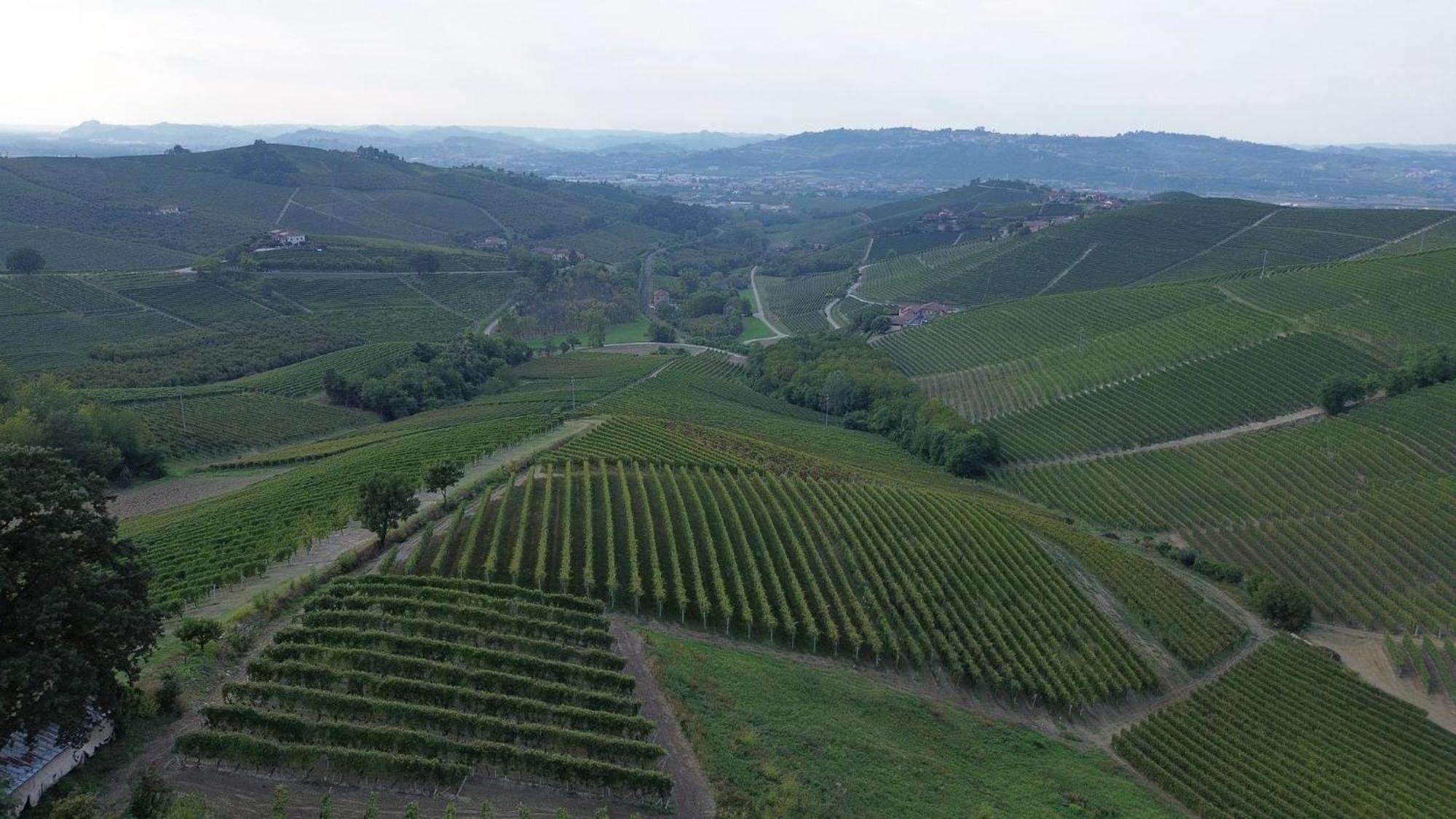 Ca Trifolera Barbaresco - Romantico Cascinale Con Antica Cantina Nel Cuore Delle Langhe - Degustazione Vini Nella Nostra Cantina Exterior foto